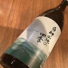 【秋田】八重寿　特別純米　白神山地の四季(グラス)