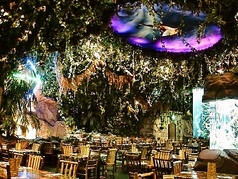 レインフォレストカフェ イクスピアリ舞浜の特集写真