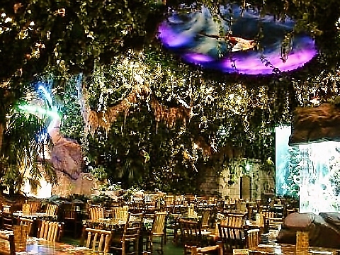 レインフォレストカフェ イクスピアリ舞浜(ディズニーランド/洋食