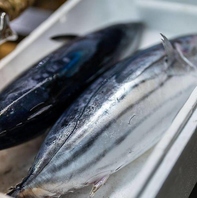 石巻港直送の鮮魚を活かす技