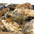 料理メニュー写真 殻付き牡蠣３ｋｇ