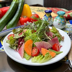 グリーンサラダ 季節のお野菜で