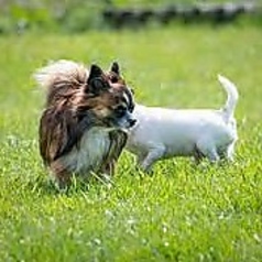 BlackSmith ブラックスミスのおすすめテイクアウト2