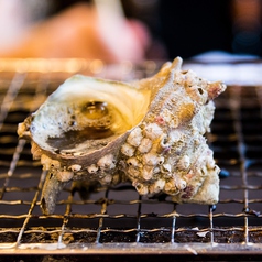 伊勢湾のサザエのつぼ焼き