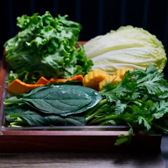 レタス/ほうれん草