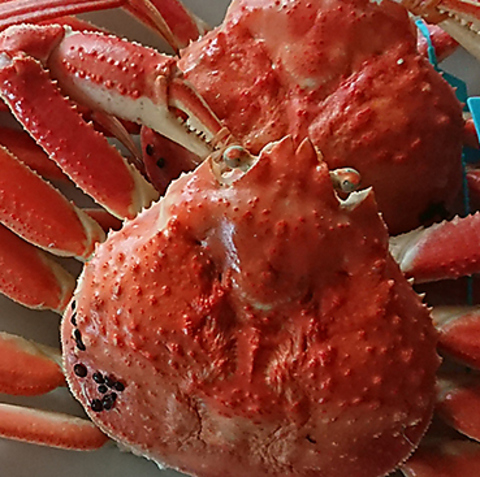 【個室で楽しむ至福の美食】都会の喧騒を離れ、特別な時間をお過ごしください。