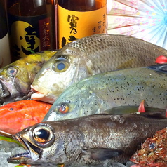 炭火焼居酒屋　 炙り屋　えん の写真2