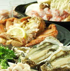 道東の狼 新鮮組のコース写真