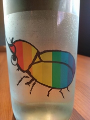 仙禽（せんきん）かぶとむし