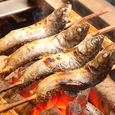近江初!琵琶湖の至宝ビワマスの一本焼き