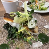 アクア エ ソーレ ACQUA E SOLEのおすすめ料理3