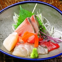 刺身5点盛り (1人前)