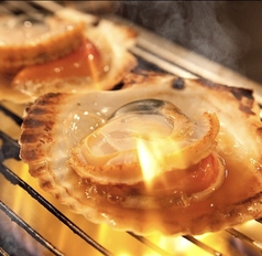 日本酒 炉端焼き 郷味 本店のおすすめポイント1