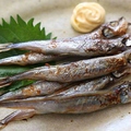 料理メニュー写真 ししゃも焼き