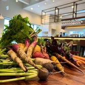 FRENCH PASTA MARKET SOSE フレンチパスタマーケットソセの雰囲気3