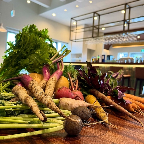 FRENCH PASTA MARKET SOSE t`pX^}[Pbg\Z