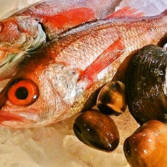 徳島　魚一番　新（あらた）の写真2