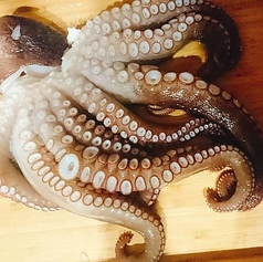 【名物】プリプリの食感がたまらない！明石だこ料理の写真