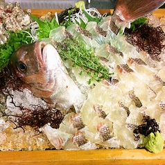 活真鯛（まだい）