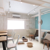 猫カフェ リプミィの雰囲気3