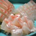 料理メニュー写真 真鯛刺身