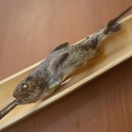 料理メニュー写真&nbsp;山都やまめの塩焼き