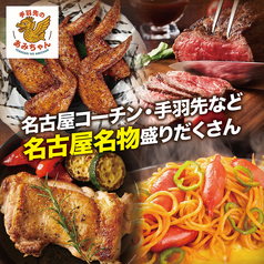 手羽先のあみちゃん 名古屋駅前店のおすすめポイント1