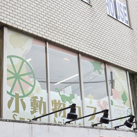 癒しのアニマルたちが難波でお出迎え♪広々空間で楽しむ