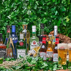 テンキャン　　BEERGARDEN　TEN&CAMPの特集写真