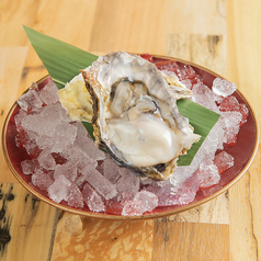 旬の浦村牡蠣の生牡蠣