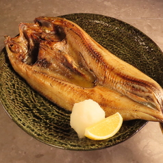 北海シマホッケ