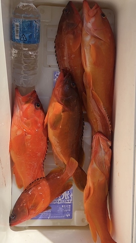 和食 魚幸 南行徳のお席