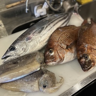 新鮮な魚を「毎日提供」することにこだわったお店♪
