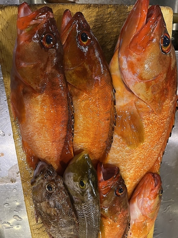 和食 魚幸 南行徳のお席