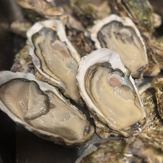 生カキ食べ比べ 3点盛り