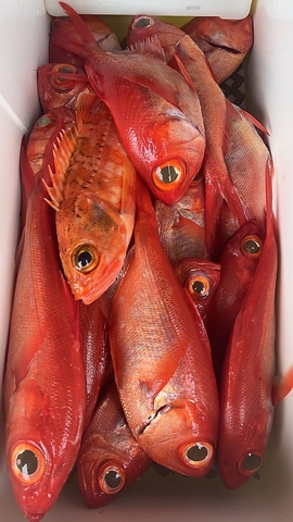 和食 魚幸 南行徳のお席