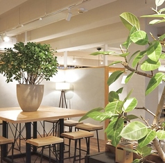 BlueBlue ブルーブルーの雰囲気2