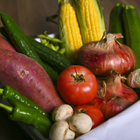 【千産千消】千葉の大地で育ったお野菜を