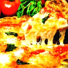 zingaro ジンガロのコース写真