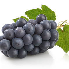 巨峰マッコリグラス