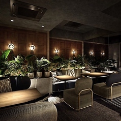 Cellarr（セラー）のコース写真