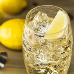 自家製スパイスレモネードハイボール