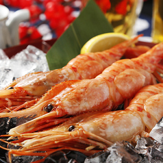 ★☆ 各種・エビ刺し ~4大堪能メニュー ☆★