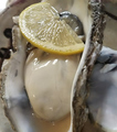 料理メニュー写真 牡蠣（北海道厚岸産）
