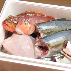 能登直送の鮮魚と郷土の味わい