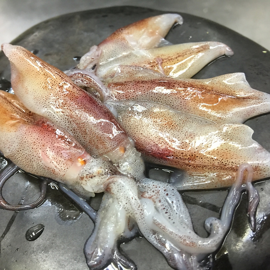 新鮮なお魚を使った旨いものを、旨い食べ方で食べれます。