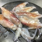 新鮮なお魚を使った旨いものを、旨い食べ方で食べれます。
