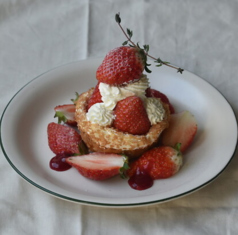 レアルタ 浜町の特集写真