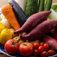 鹿児島産の新鮮な野菜