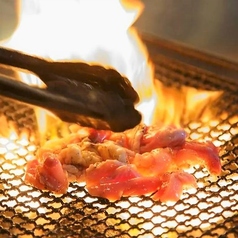 みやざき晴海 橘通店の特集写真